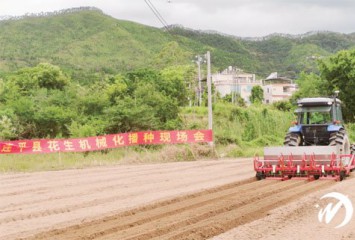 连平县高标准建设花生省级现代农业产业园 力促“小花生”做成“大产业”