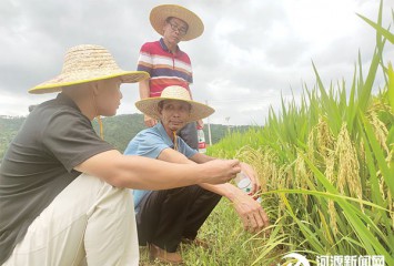 ҵ衰ս|⼦ҵЧ ˮ˶ ũҵӿ췢չ