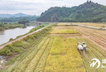 ƽ15Ķ뼯ո Ԥ11Ѯո