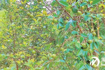 Դ|ϽشͲҵ¸ߵ +̡Ͻ̬