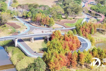 ����ɼ����װ�� ���ص���԰��ɫ