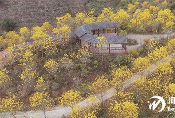 ��ҵ���衰���ս��|��Ұ���֯���� �����������ƪ ����ũҵ��ҵ����ʵ���׼������ź족