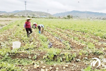 ��ҵ���衰���ս��|�ǻ��泡ͨ��� ���������������� �Ͻ����ԿƼ����ܾ�׼�ԽӴ������߶��г�