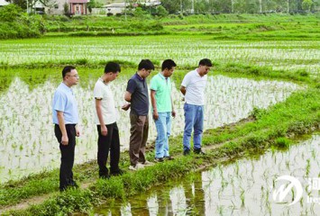 �ѿ��ðᵽ����ͷ ʡũ��Ժר���Ŷӿ�չˮ����ɫ������ѵ����似������