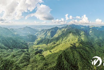 ��ҵ���衰���ս��|��������Ʈ���� ���½�⸻��� �Ͻ���ͨ����һƬҶ����һƬ�֡��̾͡��̸�˫Ӯ��·