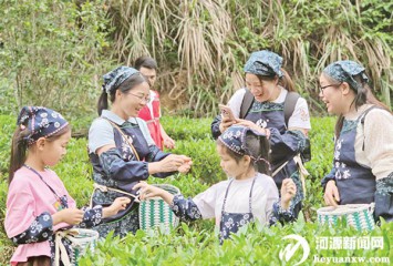 ��ҵ���衰���ս��|���������� ����æ�ɲ� ���н�20��Ķ����Ҷ�ӡ��������񡰽�Ҷ�ӡ�