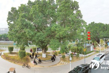 �ӡ�����ǿ�ء����������Ͻ𡱣� һ��ɽ�ǵ��ܼ�ԾǨ֮·