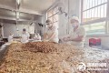 ��Դ����������˫�֡��ꡱ�������˵�������� �ֹ��±������������