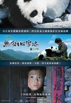 《熊猫回家路》将映 银幕再掀可爱动物风(图) 《熊猫回家路》将映 银幕再掀可爱动物风(图)