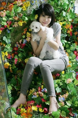 ����ܿ��MV����ʳ���򹷹� �������ڵ�����ר��